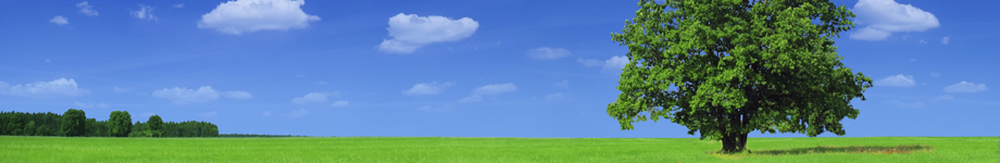 cofebuz Rotating Header Image